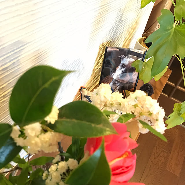 Nagakoさんの実例写真
