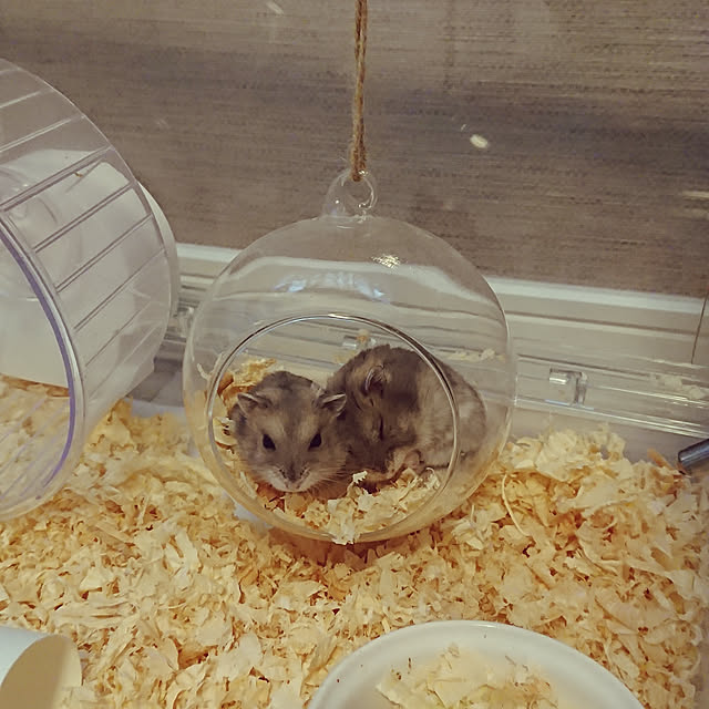 rabさんの実例写真