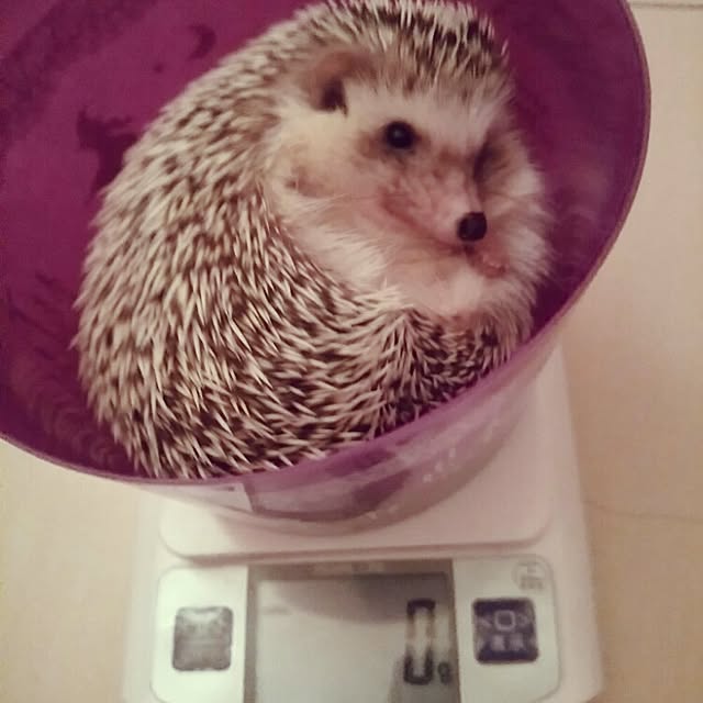 kuruさんの実例写真