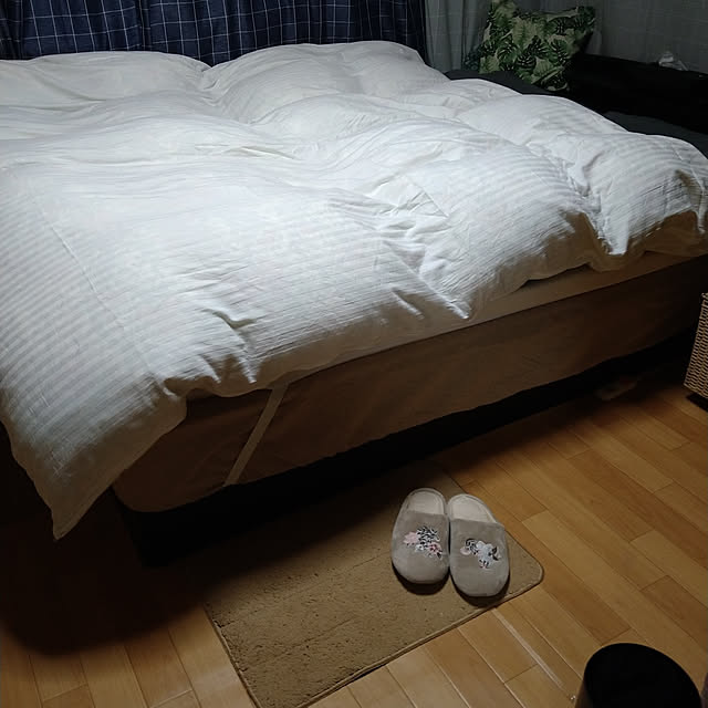 ameamekaasanさんの実例写真
