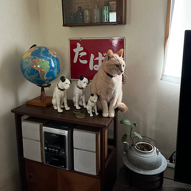 mikan161さんの実例写真