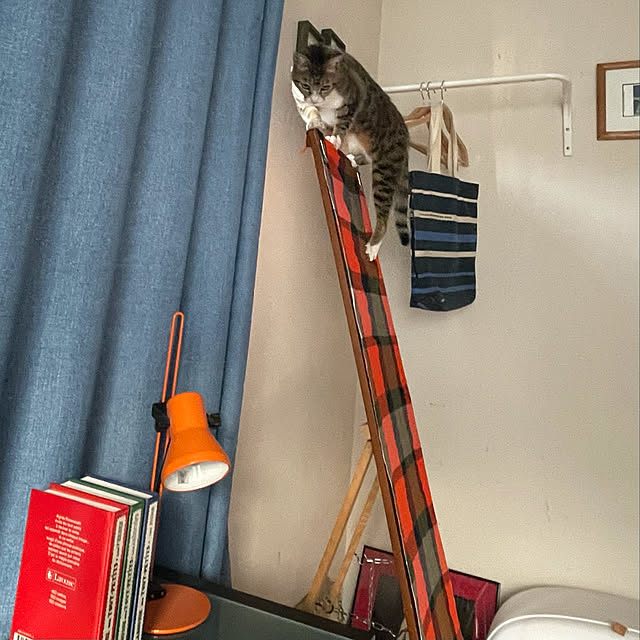 nobikoさんの実例写真