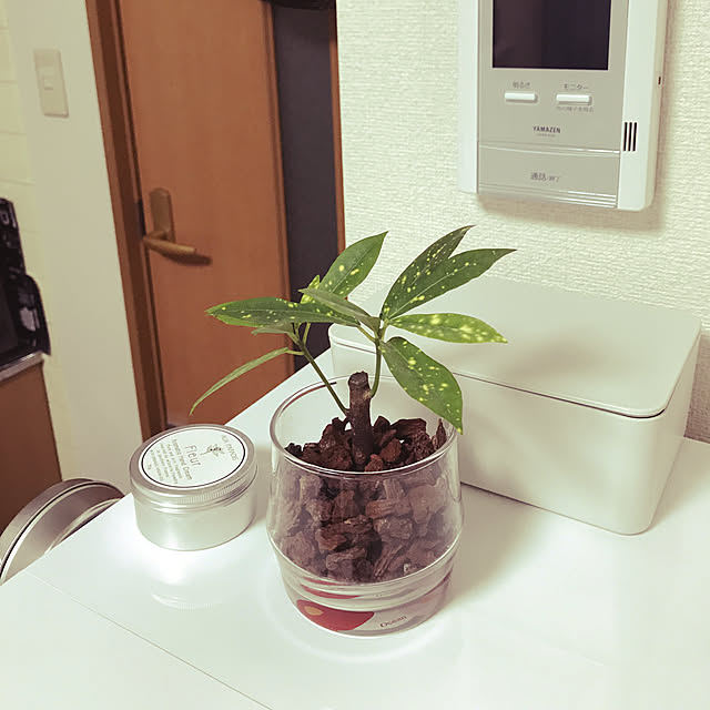 aymさんの実例写真