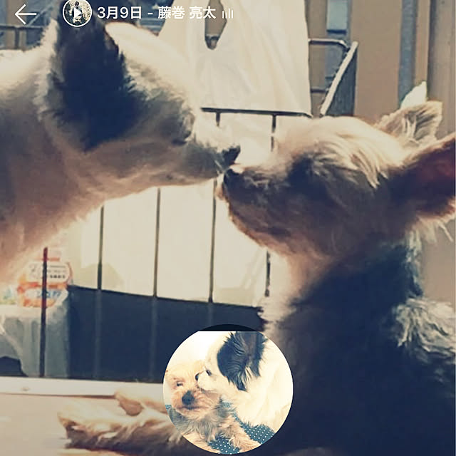 ohanaさんの実例写真