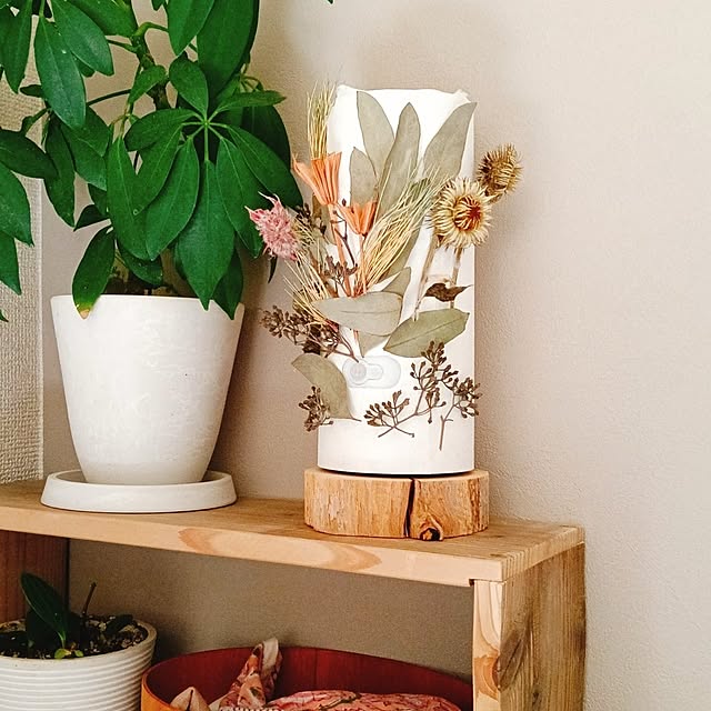 ukiukiさんの実例写真