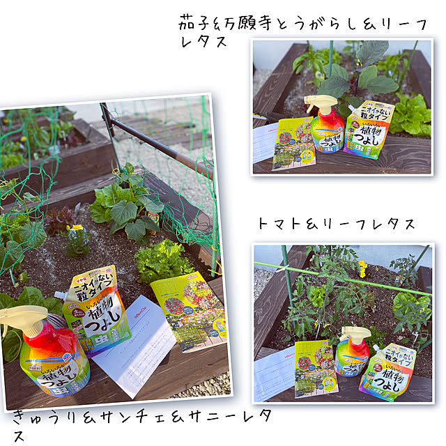 usagiさんの部屋
