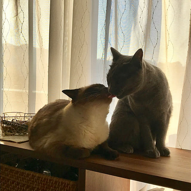 73さんの実例写真