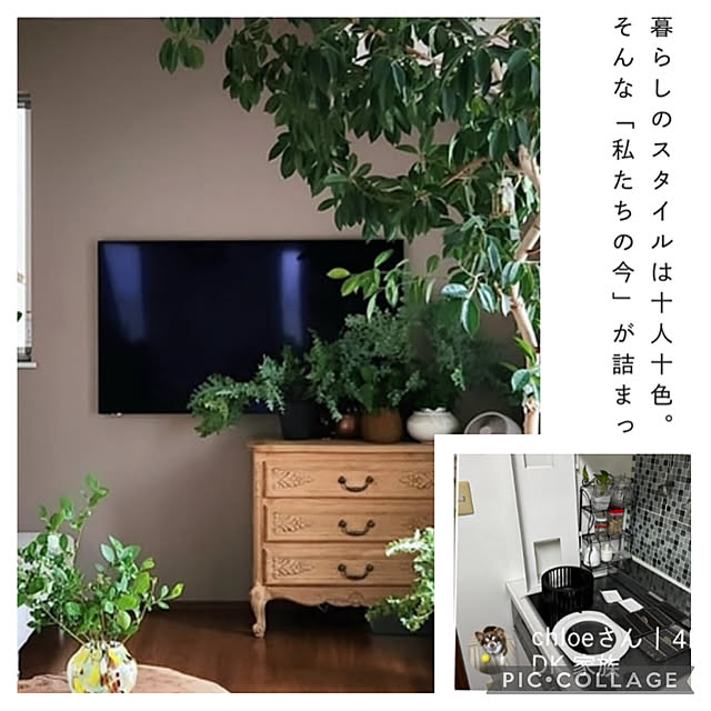chIoeさんの部屋
