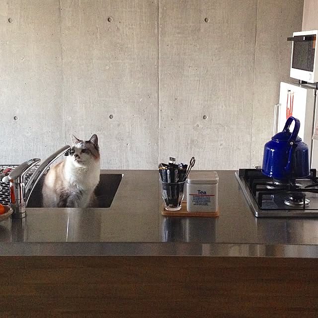 NEiGEDROiTさんの実例写真