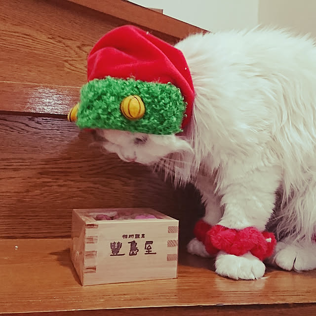 amelieさんの実例写真