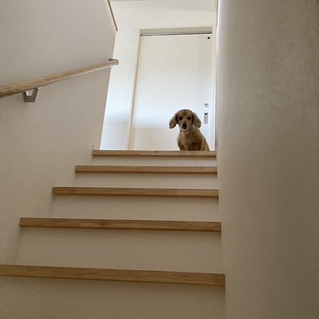 yumikofさんの実例写真