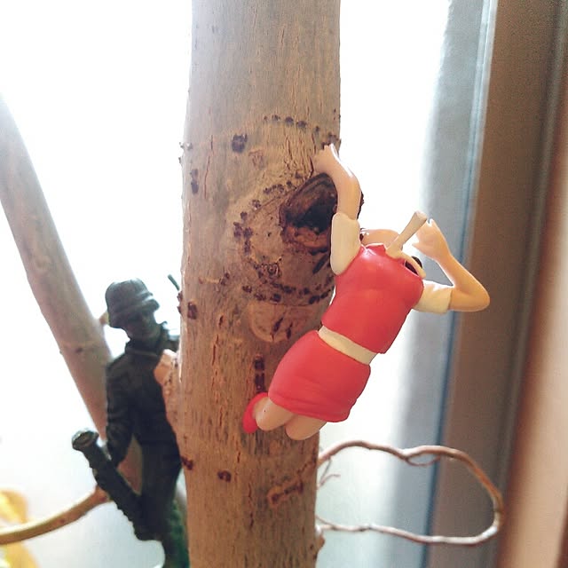 akr29さんの実例写真