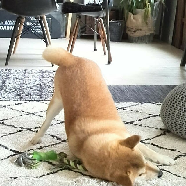 kさんの実例写真