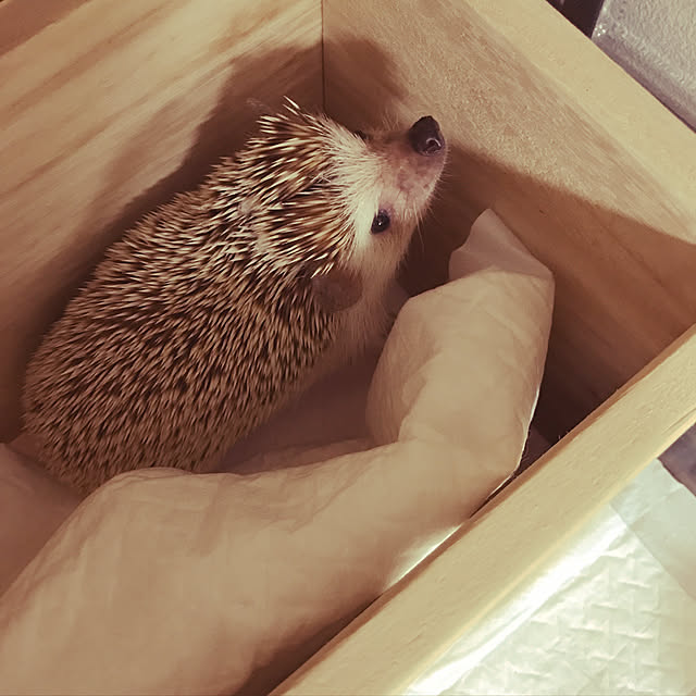 HARIさんの実例写真