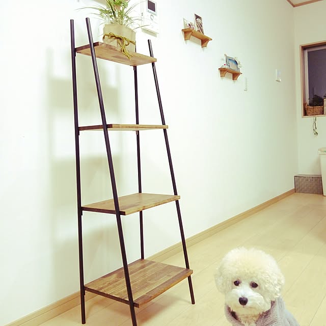 loveさんの実例写真