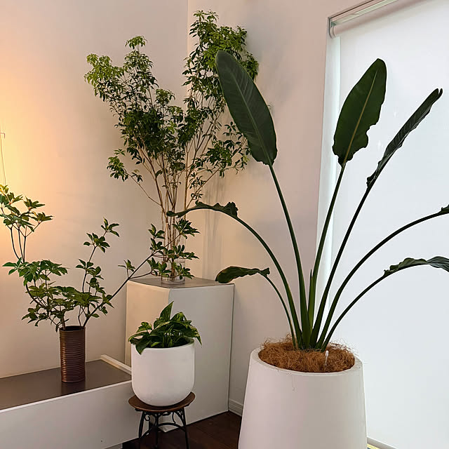 hanahana1444さんのお部屋の写真