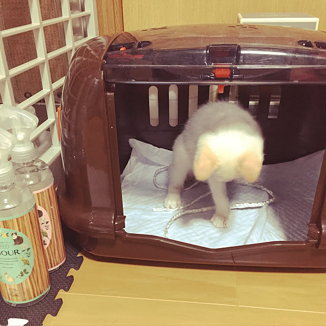 fu-mu._.さんの実例写真