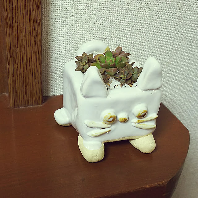 usagi1225さんの実例写真