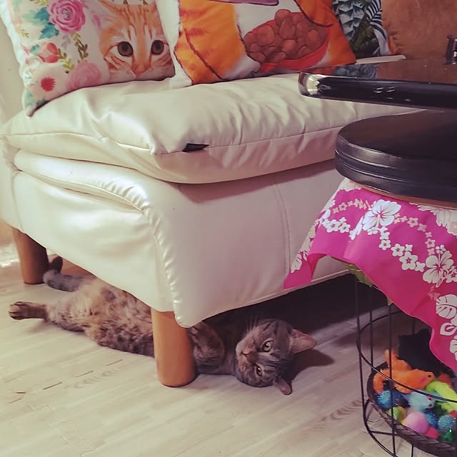 runaさんの実例写真