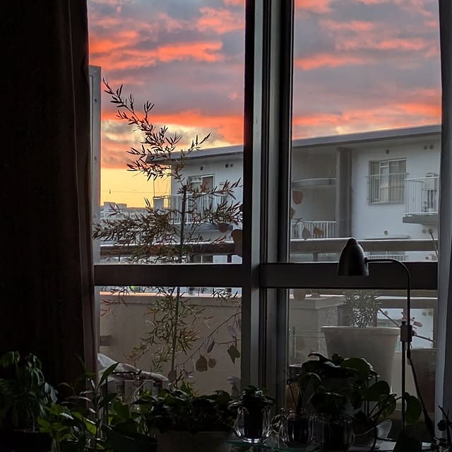 mi-saさんの部屋