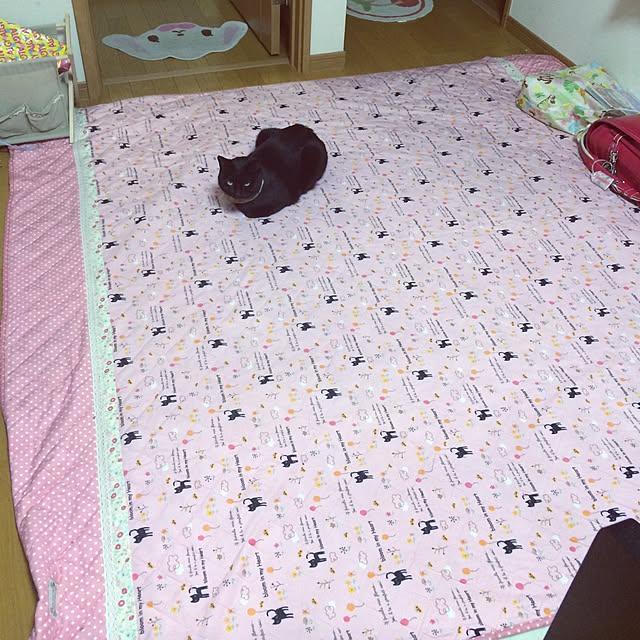 ARASHIさんの実例写真