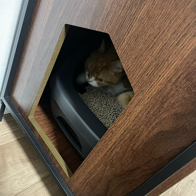 alialieさんの実例写真