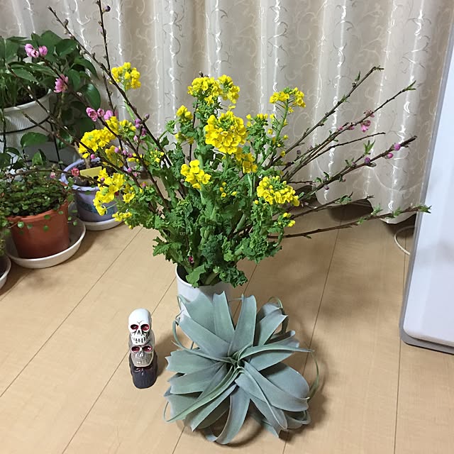 emiさんの実例写真
