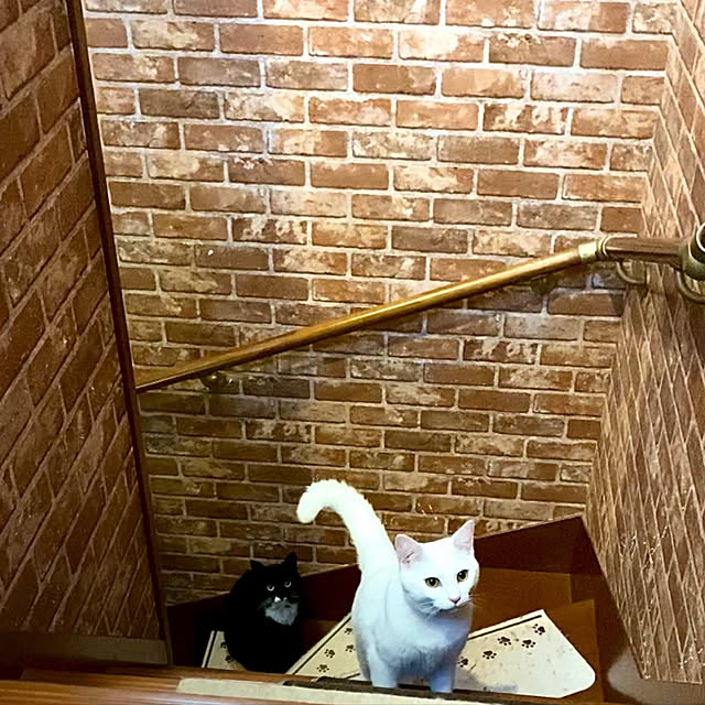 butachanさんの実例写真