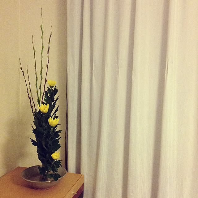 mugiinaさんの実例写真