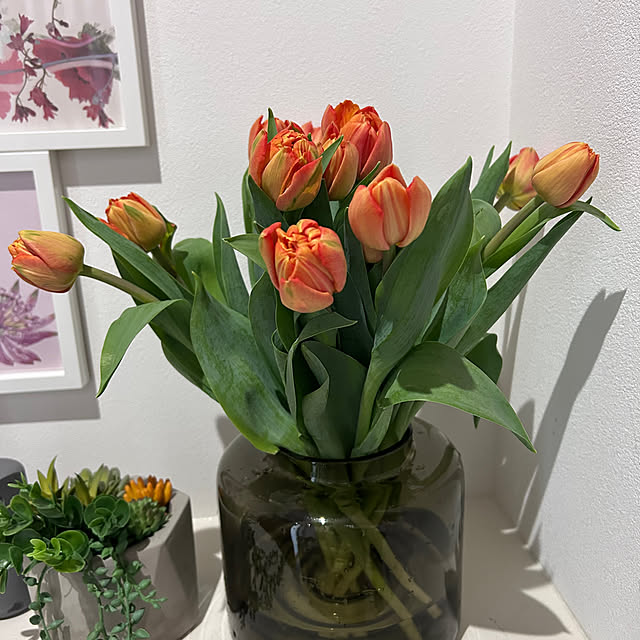 AkemiKinoshitaさんの実例写真