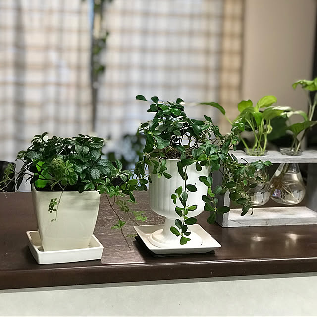 kimuraruさんの実例写真