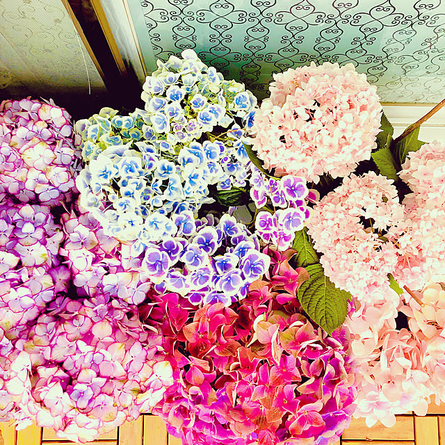 akarichanさんの実例写真