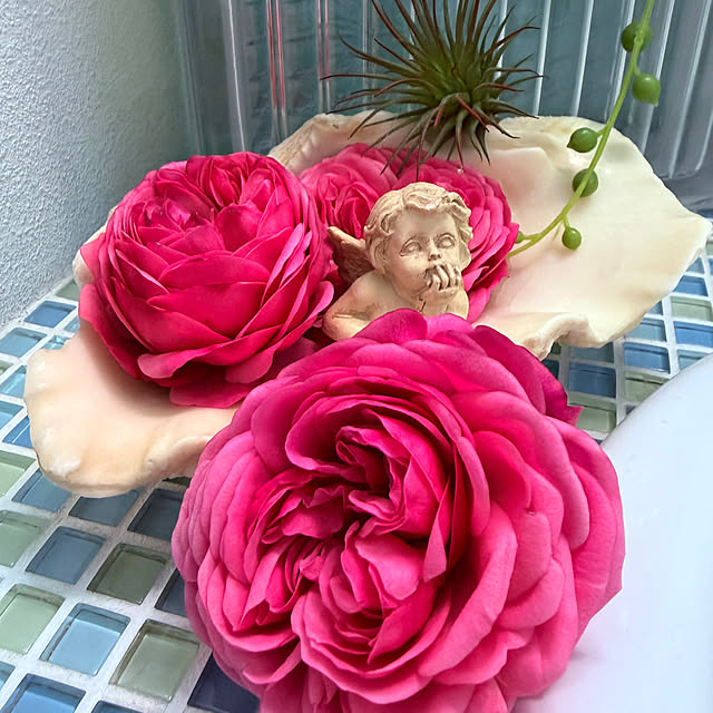 mikalove009さんの実例写真