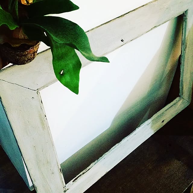 mikiさんの実例写真