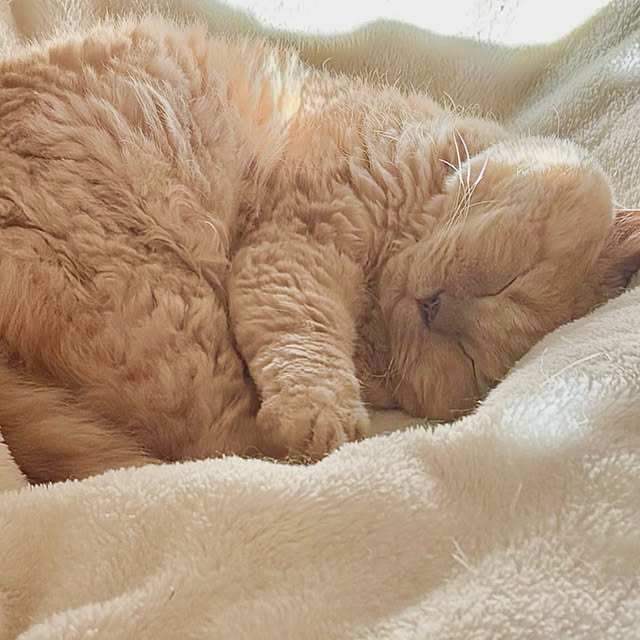 naokoさんの部屋