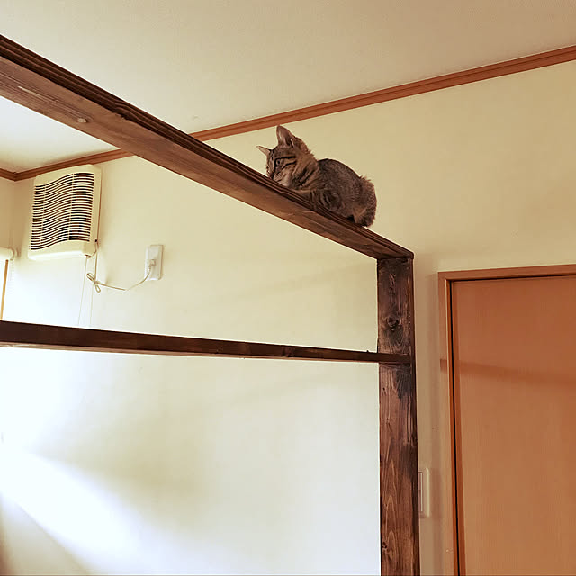 mikan161さんの実例写真