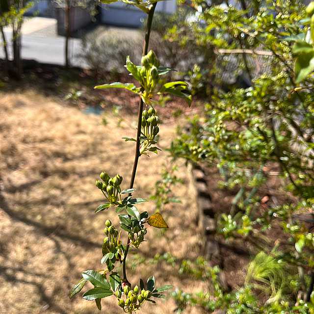 kojimasaさんの部屋