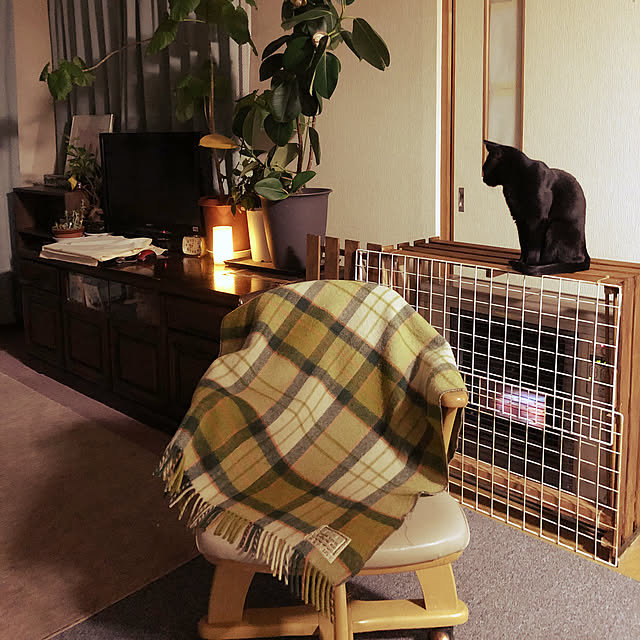 julyさんの実例写真