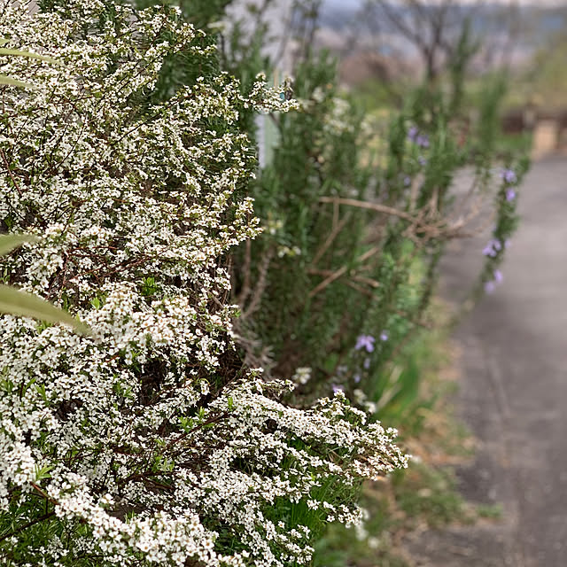 masakoさんの部屋