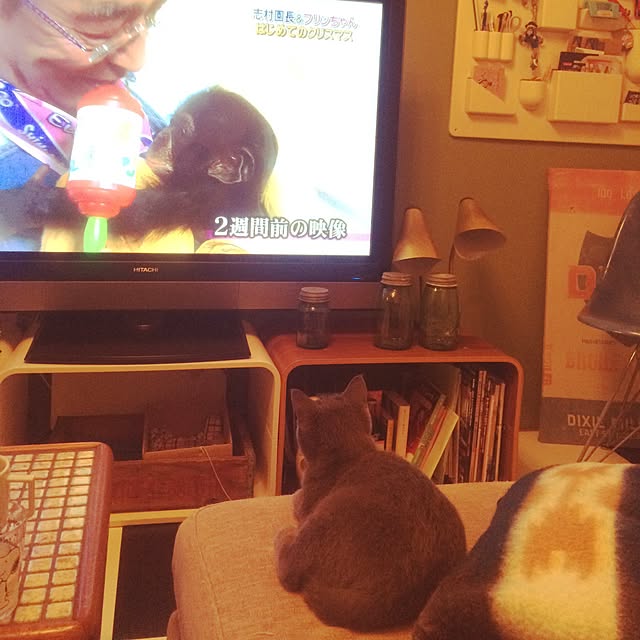 Shojiさんの実例写真