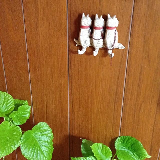 botanさんの実例写真
