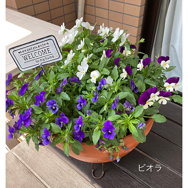 akezouさんの実例写真