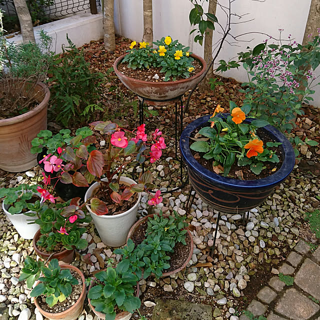 okyosan101さんの実例写真