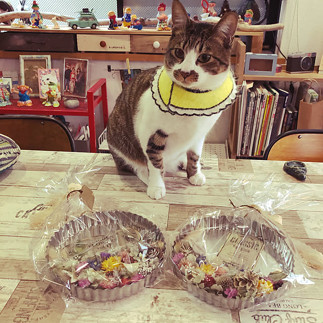 jijiさんの実例写真