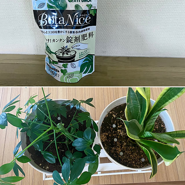 YuuKoさんの実例写真