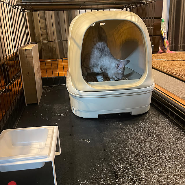 micaさんの実例写真