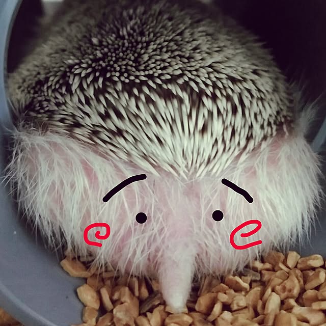 kuruさんの実例写真