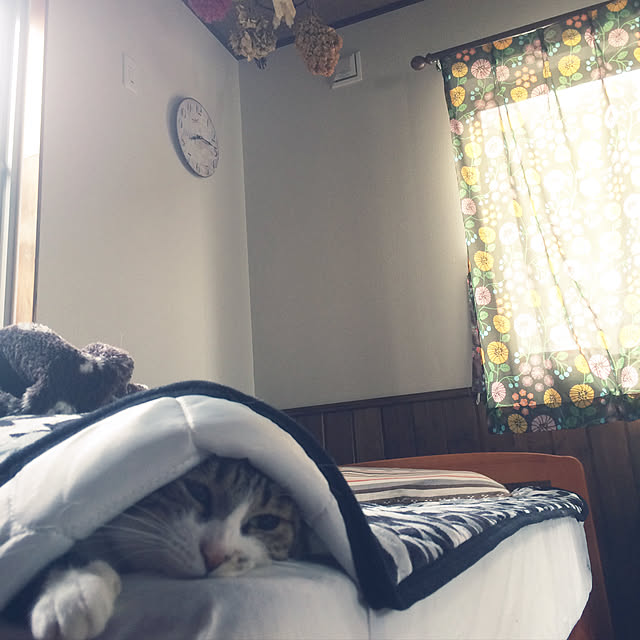 annさんの実例写真