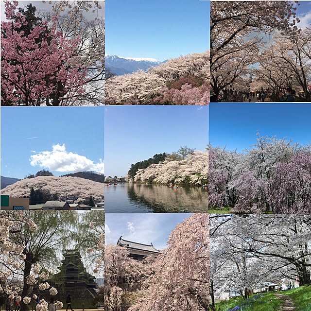 実例写真