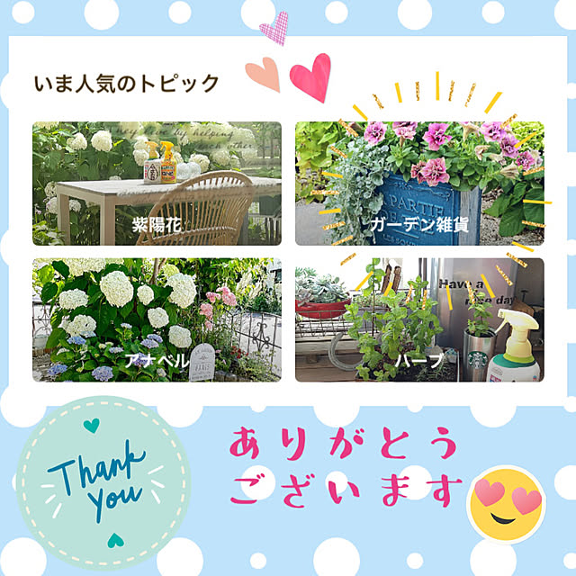 moolさんの実例写真